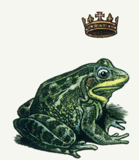 frog prince